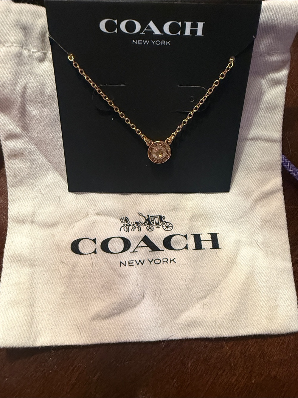 COACH Gold Crystal Circle Pendant Necklace